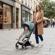 Прогулянкова коляска для подорожей Cybex Libelle Stormy Blue Cybex_Libelle_Stormy_Blue фото 7